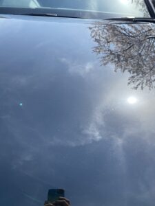 IMG_3696